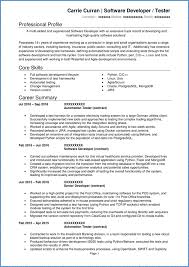 You want to make sure that you are meeting a variety of people and expanding your circle. Software Developer Cv Example Writing Guide Get Hired Quickly