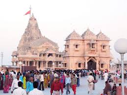 We offer a service to convert any. Bvg India Limited Latest News Videos Photos About Bvg India Limited The Economic Times