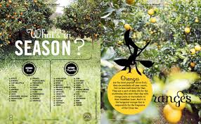 These will appear on walls, floors, and furniture. Food Magazine 03 On Behance