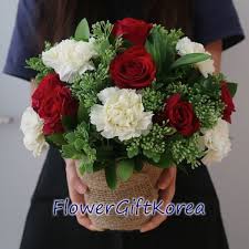 Pin Di Fresh Flower