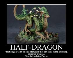 Half Dragon Dungeons And Dragons Memes D D Dungeons And Dragons Dragon Memes