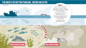Image result for trawling