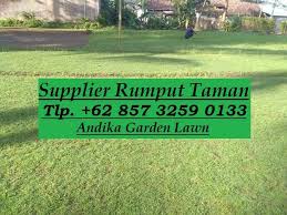 Selamat datang di gallery rumput taman, salam sejahtera selalu. Supplier Jual Rumput Taman Terlengkap Tlp 62 857 3259 0133 Supplier Postingan Facebook