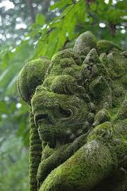 Overgrown Overgrown Zen Garden Design Moss Garden