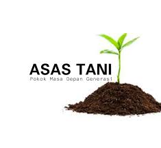 Anak pokok matua/longan brazil/ buah kristal 3 rasa. Anak Pokok Semaian Home Facebook
