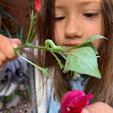 True North Adventures