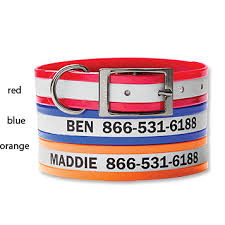 Personalized Coated Reflective Dog Collar Orvis
