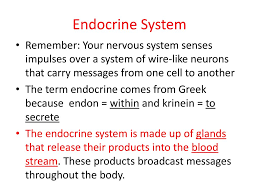 Endocrine System Remember Your Nervous System Senses Impulses Over A System Of Wire Like Neurons That Carry Messages From One Cell To Another The Term Ppt Download