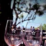 Solo at Pedernales Cellars