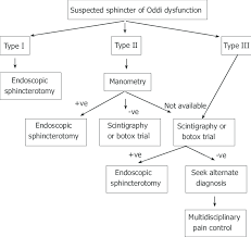 The article presents a clinical history of a patient with sphincter of oddi dysfunction. Sphincter Of Oddi Dysfunction Management Algorithm Download Scientific Diagram