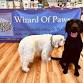 Core Pawtential | Wizard of Paws | November 20 2025 event image