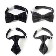 Elegant formal wear for weddings & special occaions. Cat Bow Tie Collar Nz Buy New Cat Bow Tie Collar Online From Best Sellers Dhgate New Zealand