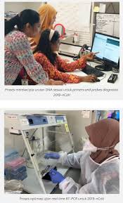 Tingkat 3, blok b, wisma pertanian sabah, jalan tasik, luyang, off jalan maktab gaya, 88999 kota kinabalu, sabah makmal kesihatan awam veterinar. Ujian Diagnostik Kesan Koronavirus Di Malaysia Berjaya Siap Kurang 24 Jam