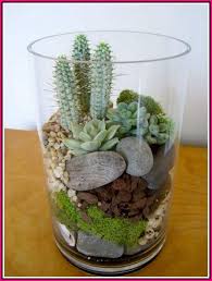 Cacti are remarkably durable and low in maintenance. Having Difficulties With Horticulture Simple Garden Ideas Succulent Garden Design Plants Succulent Terrarium