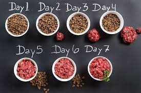 But are they actually good for your pet? The Separate Meals Switch How To Transition Your Dog To A Raw Diet Gradually Rawfeeding Raw Dog Food Diet Raw Dog Food Recipes Raw Pet Food