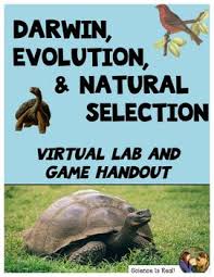Darwin's natural selection worksheet answers brain! This Interactive Virtual Lab Game Activity Teaches And Reinforces Evolution By Natural Selection In An Intera Natural Selection Biology Classroom Biology Games
