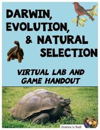 This page is about natural selection webquest answer key,contains evolution by natural selection worksheet answer key,natural selection script and answer key,worksheet. This Interactive Virtual Lab Game Activity Teaches And Reinforces Evolution By Natural Selection In An Intera Natural Selection Biology Classroom Biology Games