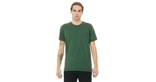 Download Bella Canvas 3413c Grass Green Triblend Unisex Triblend T Shirt