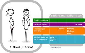 Ziel ist die entwicklung eines medikaments. á… 3 Schwangerschaftswoche Ssw Einnistung Und Befruchtung