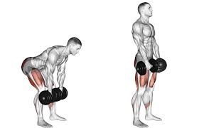 The romanian deadlift (rdl) is a traditional barbell lift used to develop the strength of the posterior chain muscles. Dumbbell Romanian Deadlifts The Other Way To Train Your Hamstrings Without A Leg Curl Machine