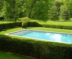 Pp 5 Pretty Pins This Week Mark D Sikes Pool Landscaping Backyard Pool Swimming Pool Designs