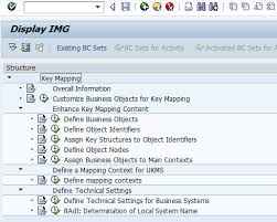 Key Mapping In Master Data Management Sap Blogs