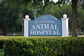 I absolutely love lake seminole animal hospital. All Animal Clinic 176 Recommendations Orange Park Fl