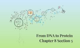 With this code i intend to take a portion of a string called sequence, between: From Dna To Protein Chapter 8 Section 5 By Alisha Jarvis