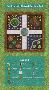 Cat Friendly Garden Plan Garden Planning Flower Garden Plans Cat Friendly