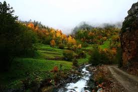 Karadeniz Den Carpici Fotograflar Dogal Doga Ve Ormanlar