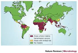 Image result for Malaria