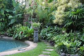 Gallery Dennis Hundscheidt Tropical Landscaping Small Tropical Gardens Tropical Backyard
