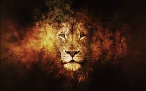 Best Lion Pictures Wallpaper Lion Artwork