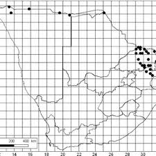 Image result for Tiliacora funifera