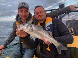 The best bass baits, the hottest lunker lakes, and the best bass fishing techniques that'll help you catch your biggest largemouth ever B A Bass Fishing Guide De Peche Sorties Peche Bassin D Arcachon