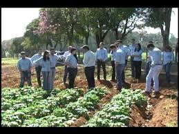 2 department of animal reproduction, faculdade de ciências agrárias e veterinárias, univ. Alunos Do Curso De Agronomia Da Unesp De Jaboticabal Visitam O Polo Regional De Mococa Youtube