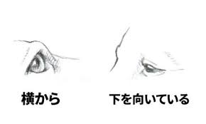 笑顔から怒り顔まで13選 犬の表情の描き方 絵師ノート 目 描き方 怒り 虹彩の色