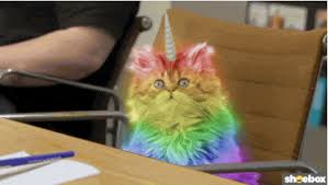 They play, jump, hunt and do a lot of funny things. Amazing 30 Cute Unicorn Gif Compilation Kawaii Unicorn Store