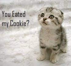We did not find results for: I Made You A Cookie But I Eated It Home Facebook
