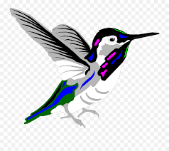 Jutaan file transparan dalam format hd png. Free Bird Png Multicolored Bird Png High Quality Image Kartun Burung Kolibri Free Transparent Png Images Pngaaa Com