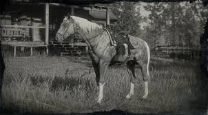 There are a lot of horses out there in red dead online, and its important to choose the right one for how you want to play. Red Dead Redemption 2 American Standardbred Locations Stats Coats