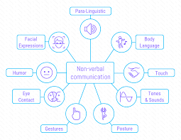 Miro mind map helps distributed teams to concurrently brainstorm, plan projects, map out information architecture, create org charts, and develop sales strategies. 40 Amazing Mind Map Templates You Can Use Now
