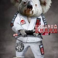 Koala Jiu Jitsu Jiu Jitsu Animals Koala