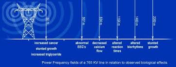 Emf Pollution From Living Near Power Lines Solved Power Radiation Protection Good To Know