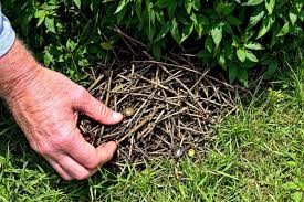 Hadid porn videos super friendly upon arrival and