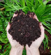 Check spelling or type a new query. Composting 101 What Why How To Compost At Home Homestead And Chill