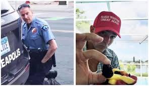 .by derek chauvin's knees pressing against his neck and back, making it impossible for him to breathe, and that mr. Is There A Photo Of Derek Chauvin Wearing A Make Whites Great Again Hat