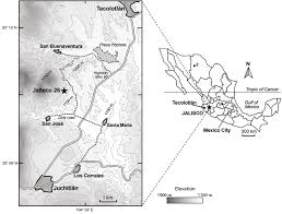 4 of pardiñas et al., 2014), b) copemys sp. A New Species Of Sigmodontinae Rodentia From The Late Hemphillian Of Central Mexico And Comments On The Possible Radiation Of This Group