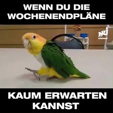 She is an actress, known for lüthi und blanc (1999), der bestatter (2013) and sonntagsvierer (2010). Energy Zurich Bald Bald Bald Facebook