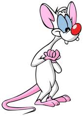 Угадайте, чье творение сейчас перед нами? Pinky And The Brain Wikipedia